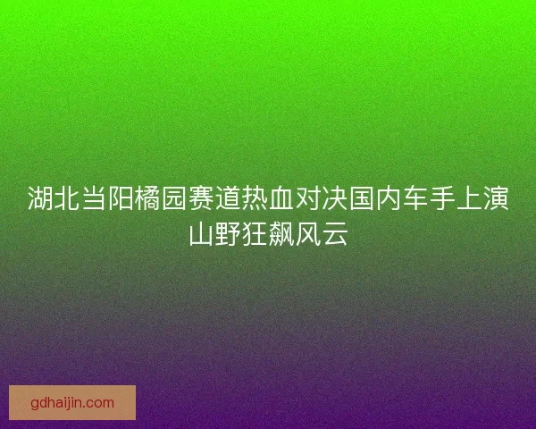 湖北当阳橘园赛道热血对决国内车手上演山野狂飙风云