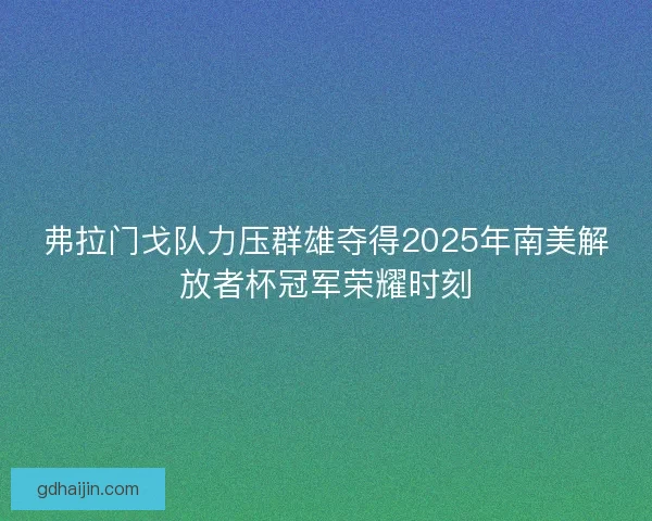 弗拉门戈队力压群雄夺得2025年南美解放者杯冠军荣耀时刻